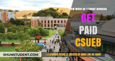 Unveiling the Pay Scale for Student Workers at CSUEB