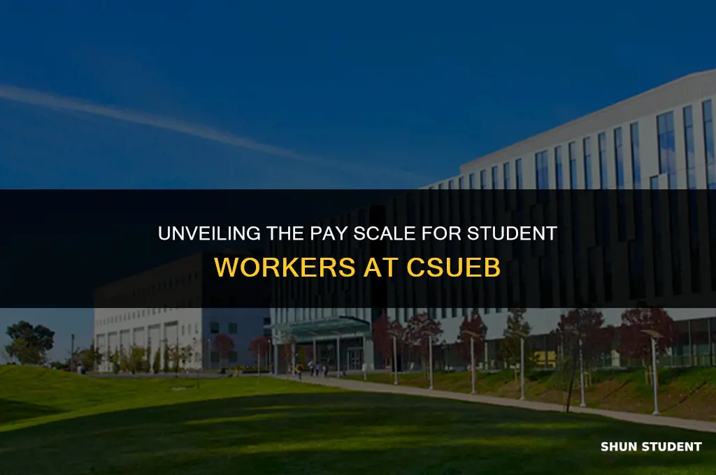 how much do student workers get paid csueb