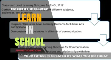 Unveiling the Realities of Student Learning in Modern Education