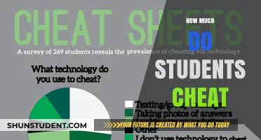 Academic Integrity in Question: The Extent of Cheating Among Students