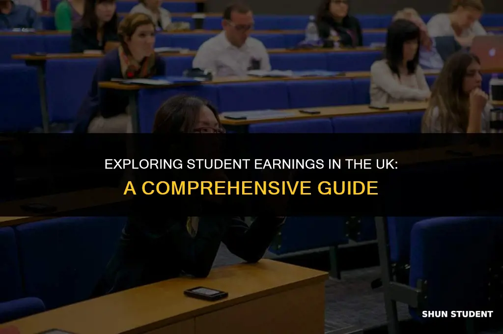 how much do students earn in uk