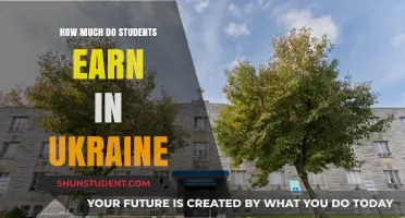 Exploring Student Earnings in Ukraine: A Comprehensive Guide