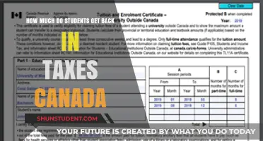 Decoding Canadian Tax Returns: A Student's Guide to Maximizing Refunds