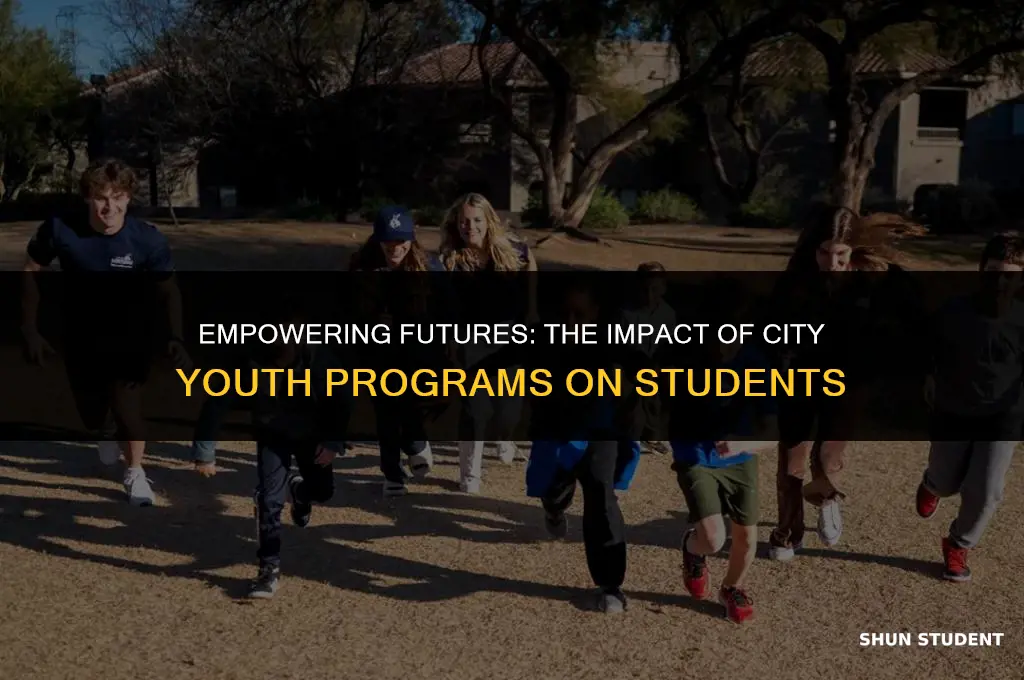 how much do students get from city youth program