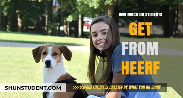 Unlocking Financial Aid: How Much Do Students Really Get from HEERF?