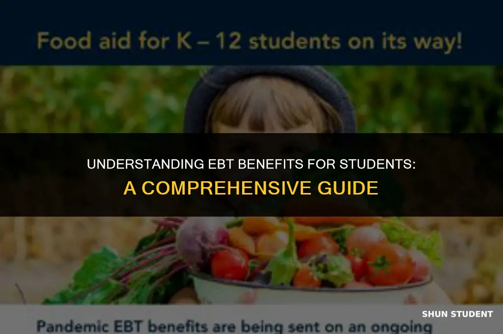 how much do students get in ebt