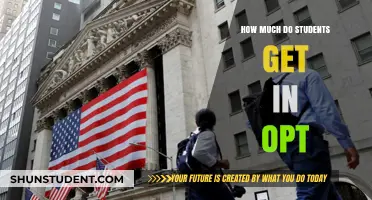 Unlocking Opportunities: A Guide to Student Earnings in OPT