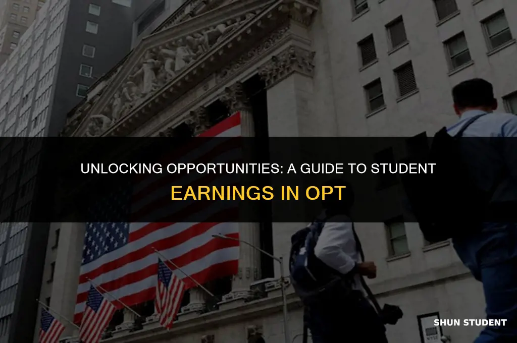 how much do students get in opt
