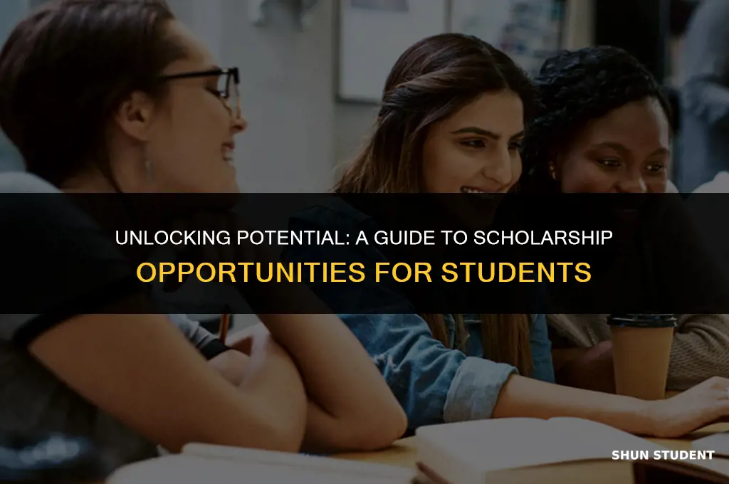 how much do students get in scholarships