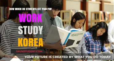 Exploring Work-Study Opportunities in Korea: A Student's Guide to Earnings