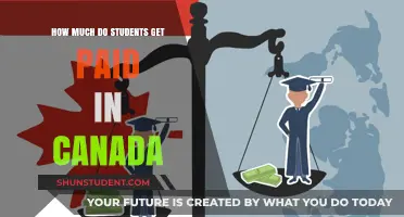Exploring Student Earnings in Canada: A Comprehensive Guide