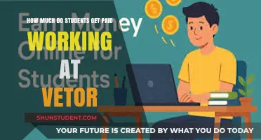 Exploring Student Earnings at Vetor: A Comprehensive Guide