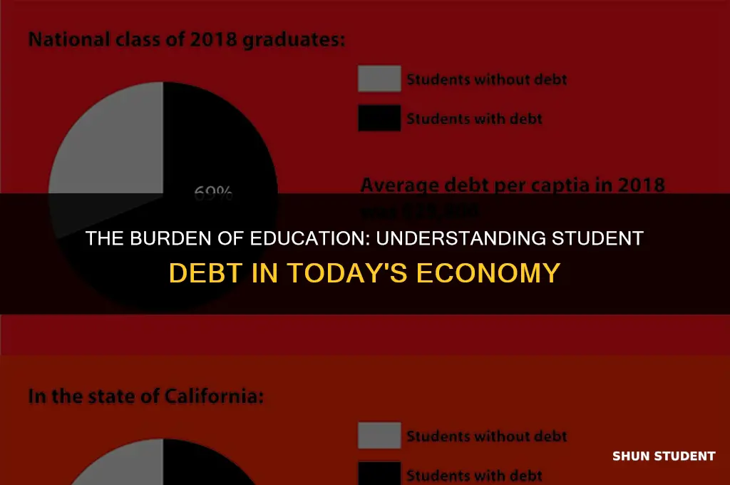 how much do students go to debt