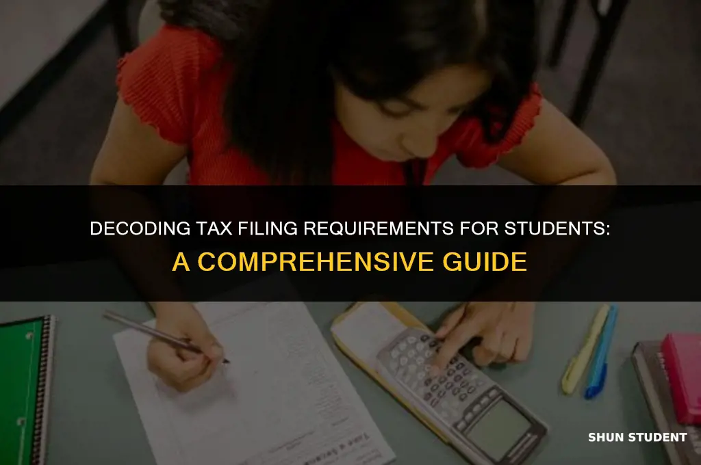 how much do students have to make to file taxes