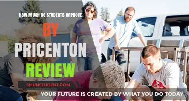 Boosting Scores: The Impact of Princeton Review on Student Performance