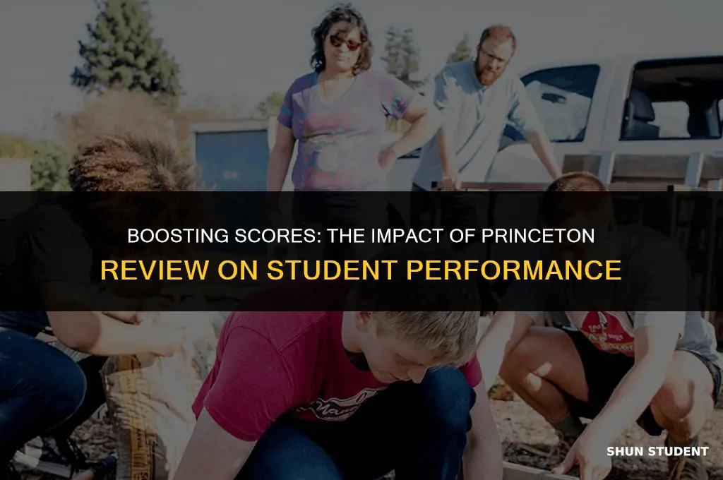 how much do students improve by pricenton review