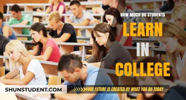 Unlocking Knowledge: The Impact of College on Student Learning