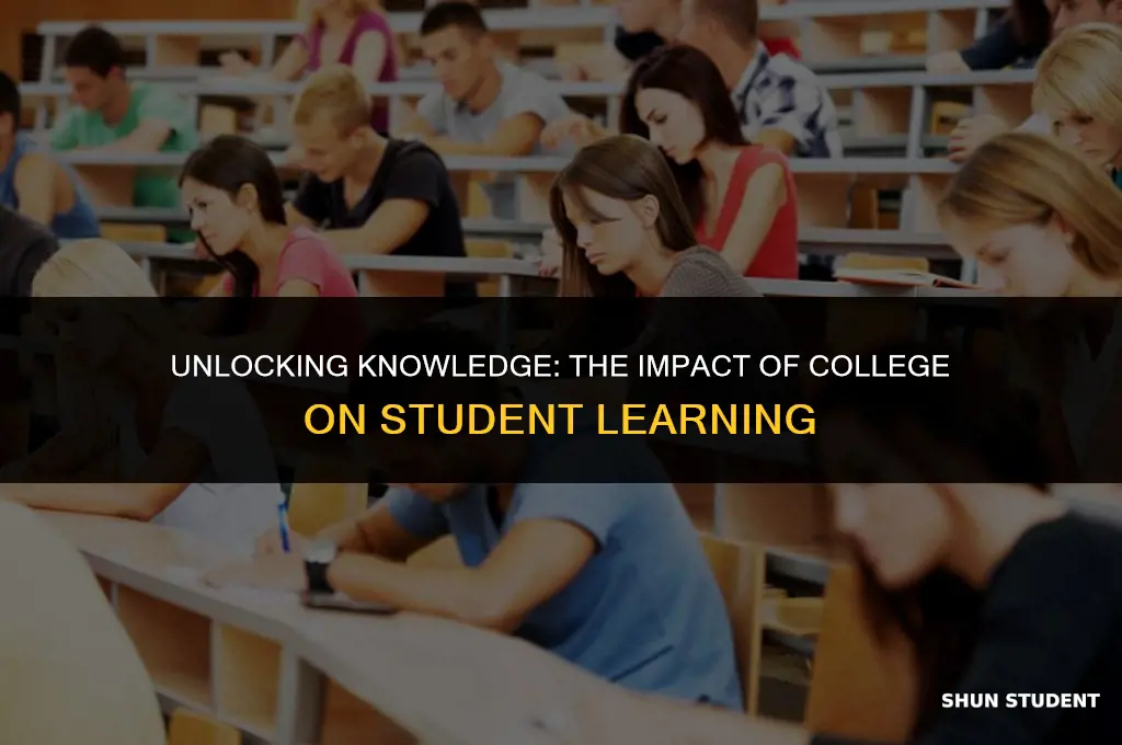 how much do students learn in college