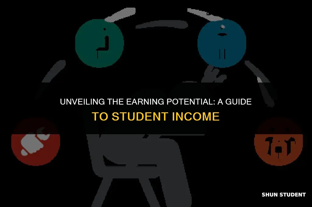 how much do students make