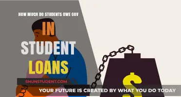 The Weight of Education: Student Loan Debt to the Government