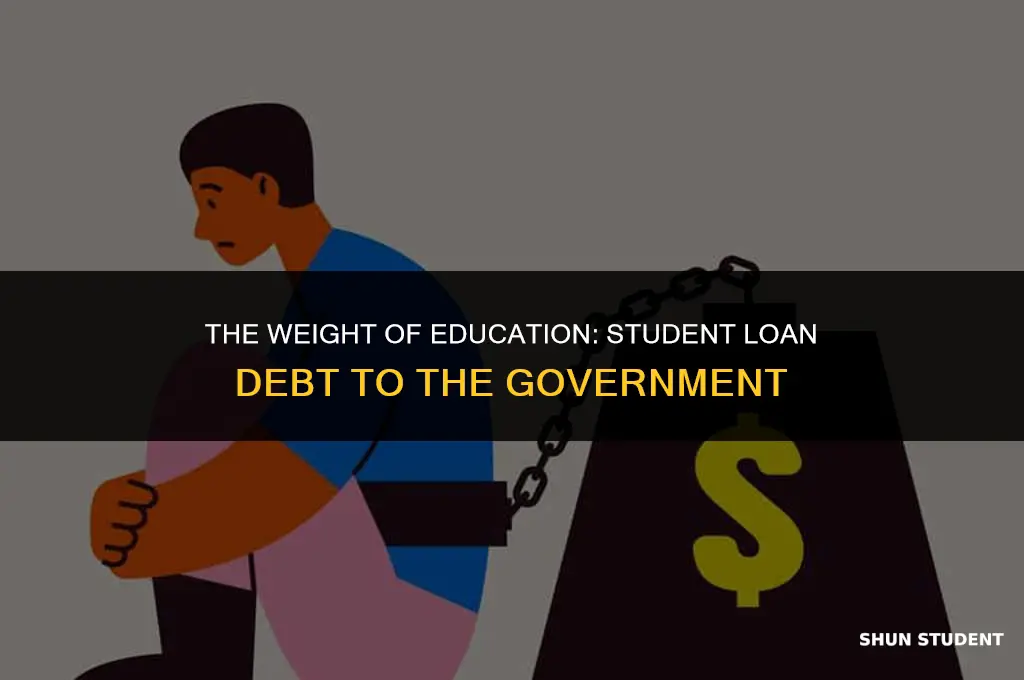how much do students owe gov in student loans