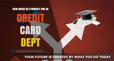 The Burden of Plastic: Understanding Student Credit Card Debt
