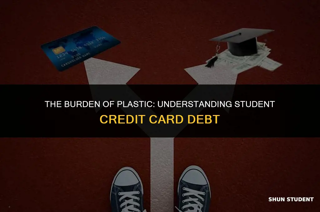 how much do students owe in credit card dept