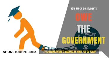 Burden of Knowledge: Unraveling the Student Debt Crisis