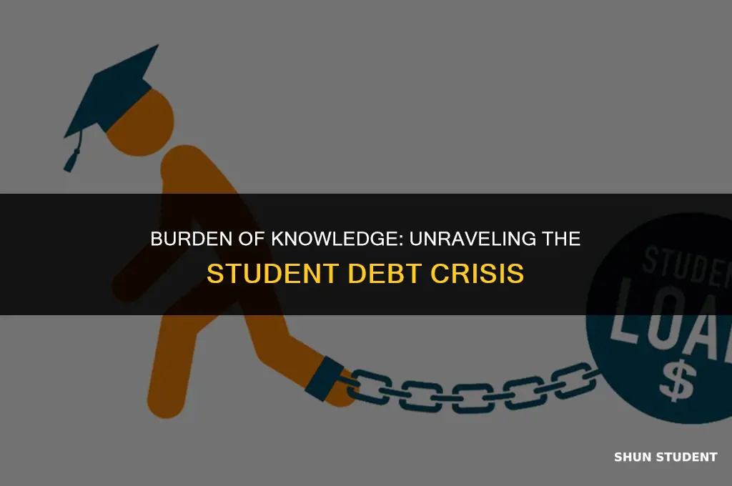 how much do students owe the government