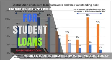 Monthly Burden: The Real Cost of Student Loans for Borrowers