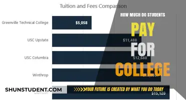 The Cost of Higher Education: A Student's Financial Journey