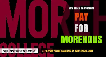 Exploring the Financial Journey of Students at Morehouse College