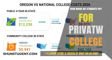 The Cost of Private College: A Student's Financial Journey