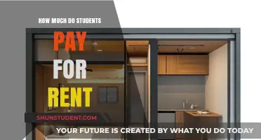 The Cost of Comfort: A Student's Guide to Rent Expenses