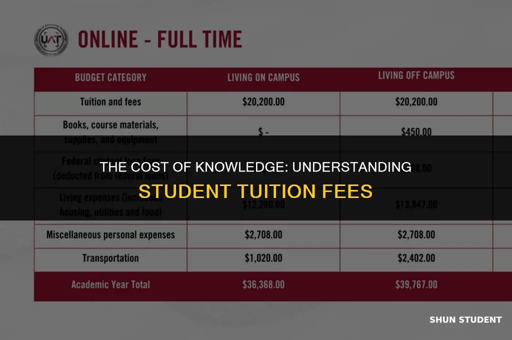 how much do students pay for tuition