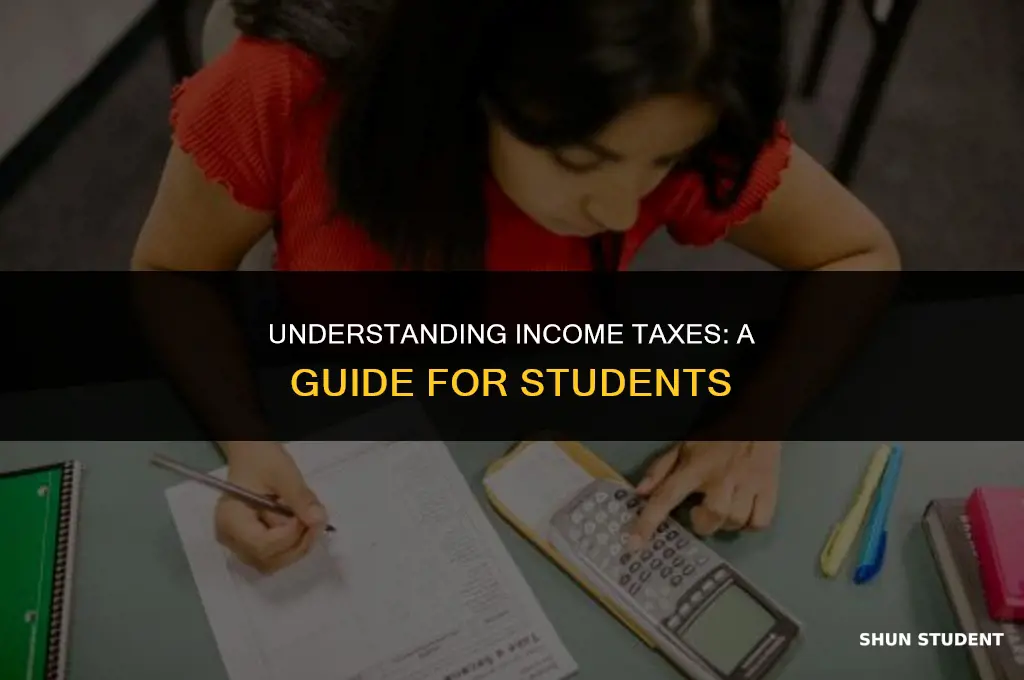 how much do students pay in inco e taxes