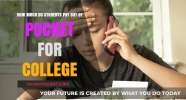 The Hidden Costs of Higher Education: A Student's Financial Burden