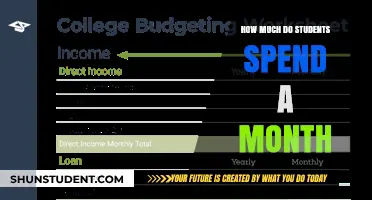 Monthly Expenses Uncovered: A Student's Budget Breakdown