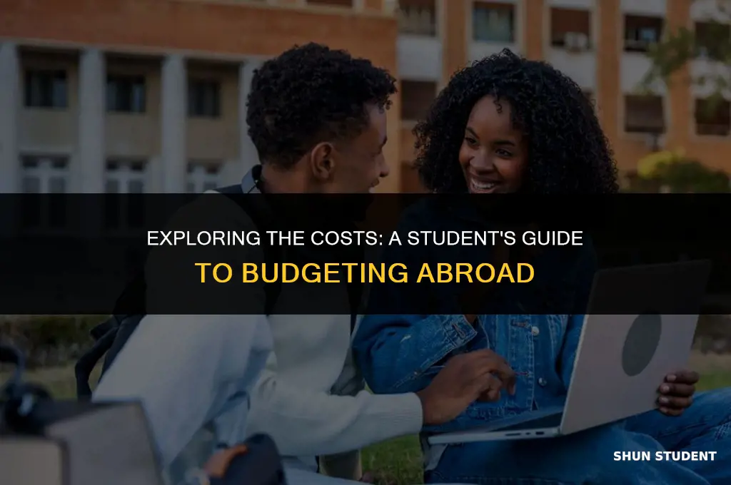 how much do students spend abroad