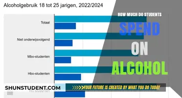 The Sobering Cost: Alcohol Expenditure Among Students Revealed
