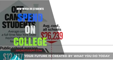 The Hidden Costs of Higher Education: A Student's Financial Journey