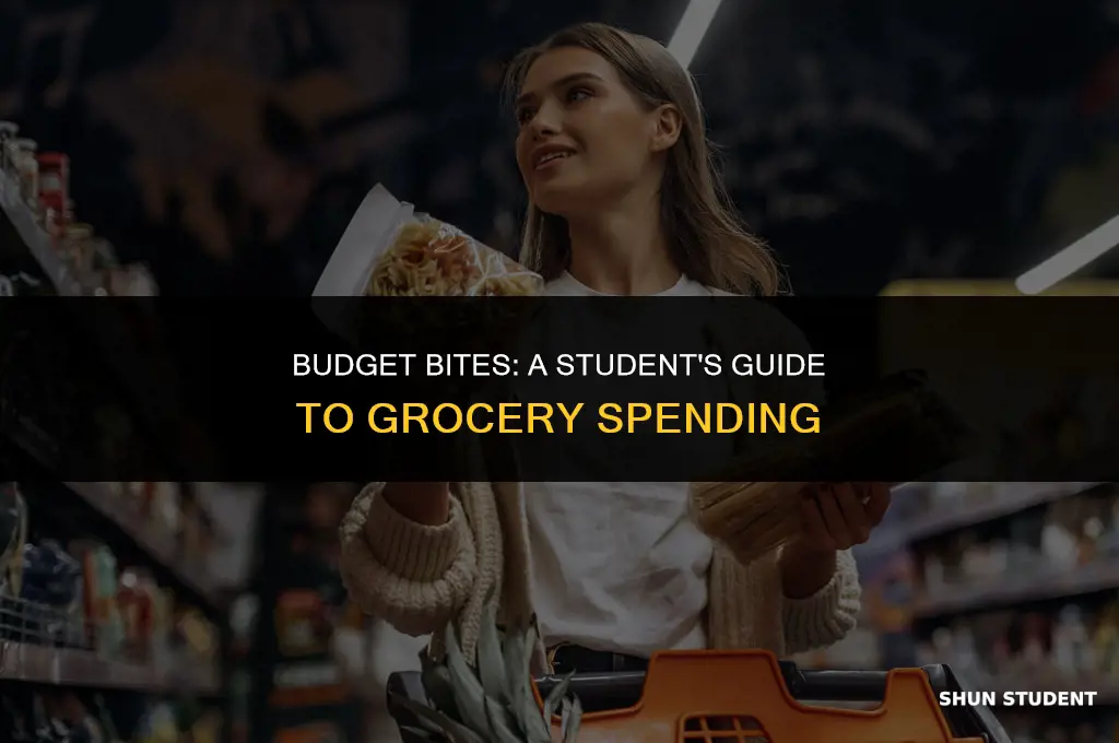 how much do students spend on groceries