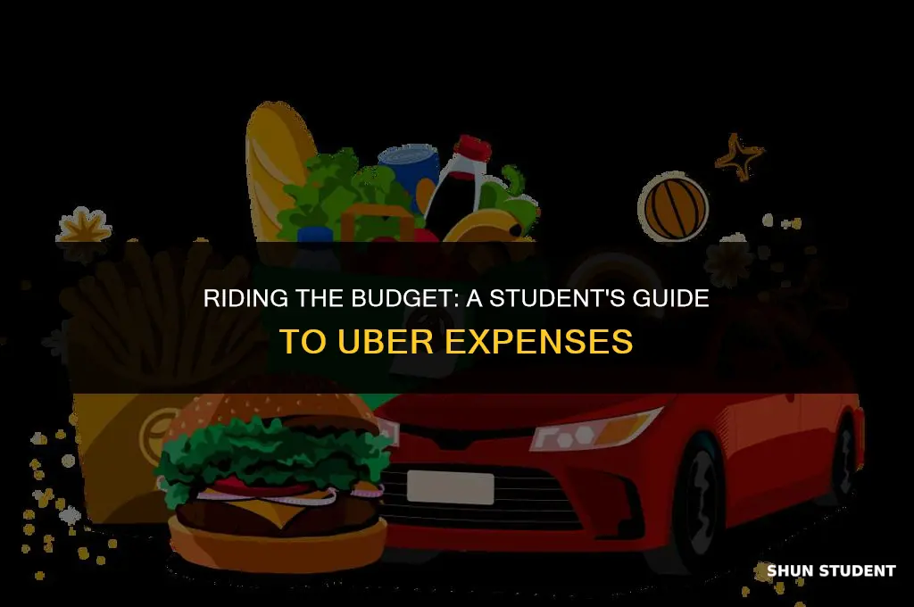 how much do students spend on uber