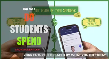 Unveiling the Hidden Costs: A Student's Spending Saga