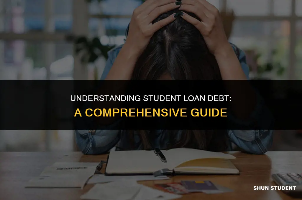 how much do students take out in loans