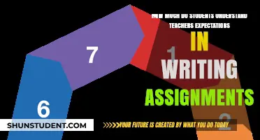 Decoding Teacher Expectations: A Student's Guide to Writing Assignments