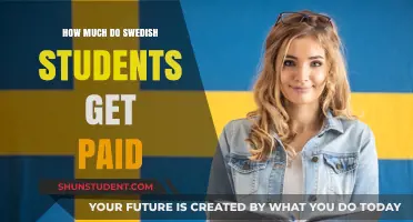 Exploring the Financial Rewards for Swedish Students: A Comprehensive Guide