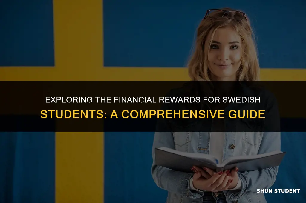 how much do swedish students get paid
