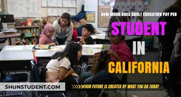 Adult Education Funding: California's Per-Student Budget