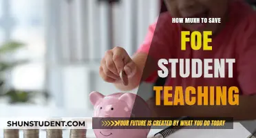 Smart Savings Strategies for Student Teaching Expenses and Success